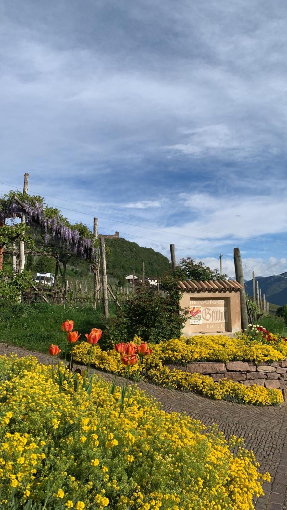 Gfillhof Ferienwohnung 1 Appiano Sulla Strada Del Vino Exteriér fotografie